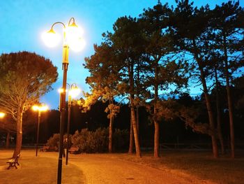 Street light and trees on field at night