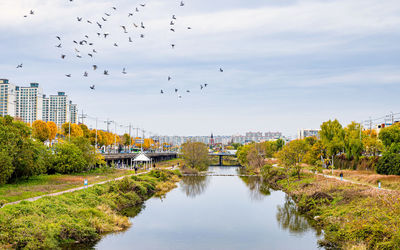 Beautiful river and autumn  fall season, gwangju, south korea.