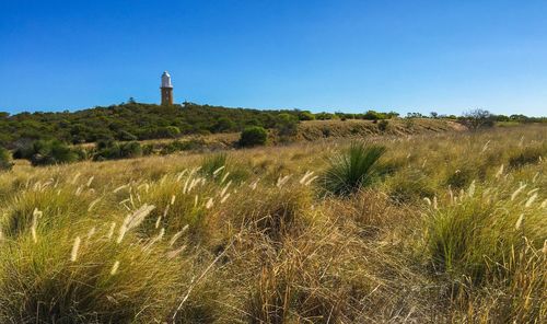 Lighthouse on field against clear blue sky