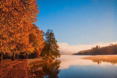 Autumn morning idyll in bright colors by a lake in filipstad in sweden