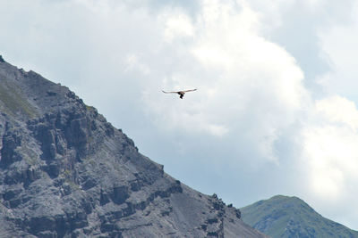 Low angle view of birds flying in sky