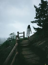 Rear view of woman standing by tree against sky