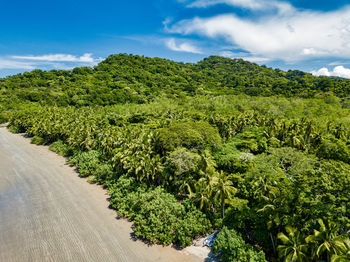 Scenic view of road amidst trees against sky