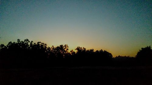 Silhouette trees on field against clear sky