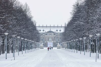 Trees at grosser garten during winter