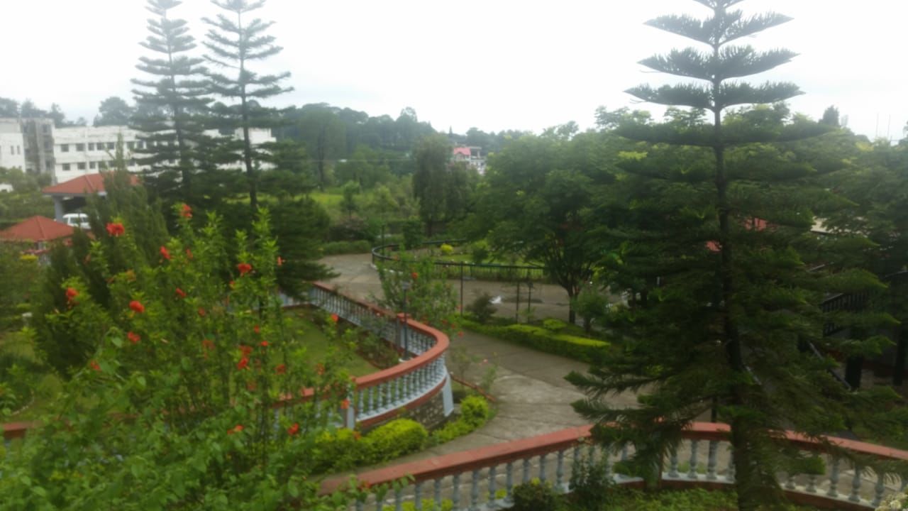 plant, tree, nature, growth, architecture, green color, water, beauty in nature, no people, built structure, day, outdoors, tranquility, tranquil scene, sky, scenics - nature, wet, building exterior, rain, rainy season