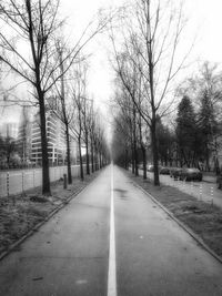 Empty road along trees