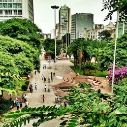 People walking in park