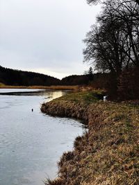 Scenic view of lake in forest against sky