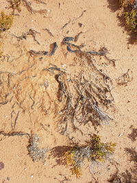 Full frame shot of sand