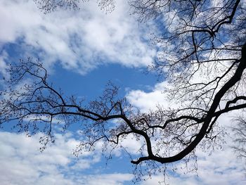 Low angle view of bare trees against cloudy sky