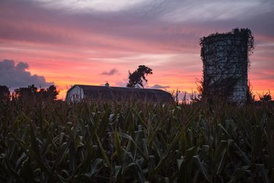 Silhouette of trees on field against sky at dusk