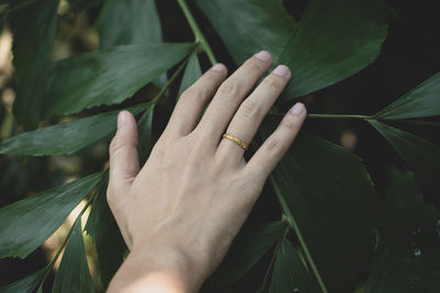 Close-up of hand by plant