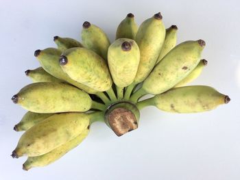 High angle view of fruits against white background