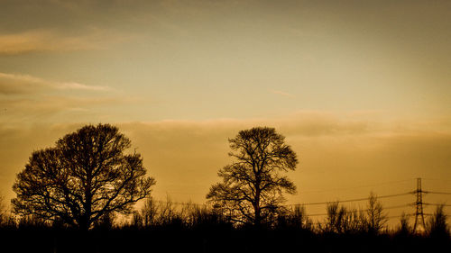 Silhouette trees against sky during sunset