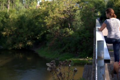 Trees on riverbank