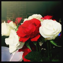 Close-up of rose