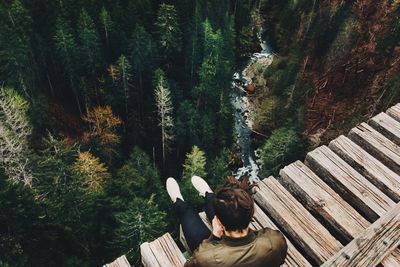 Man feeding amidst trees in forest