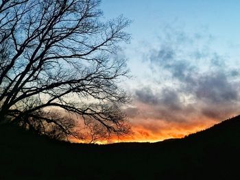 Silhouette bare tree against sky during sunset