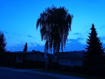 Trees and houses against blue sky