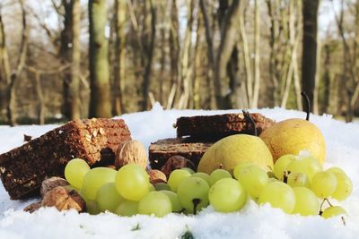 Winter picknick in the snow