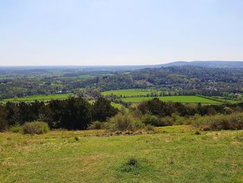 Scenic view of landscape against clear sky