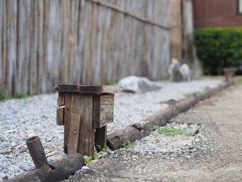 Close-up of wooden log in forest