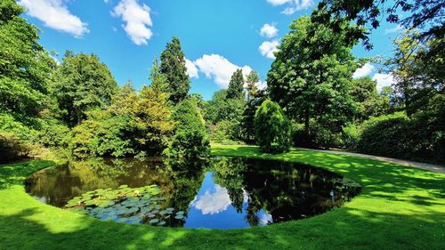 Scenic view of lake by trees against sky