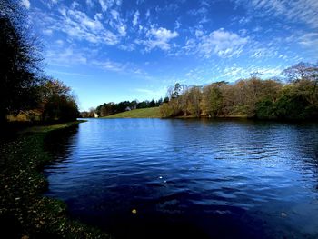 Scenic view of lake in forest against sky