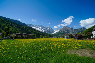 Scenic view of field by houses and mountains against sky