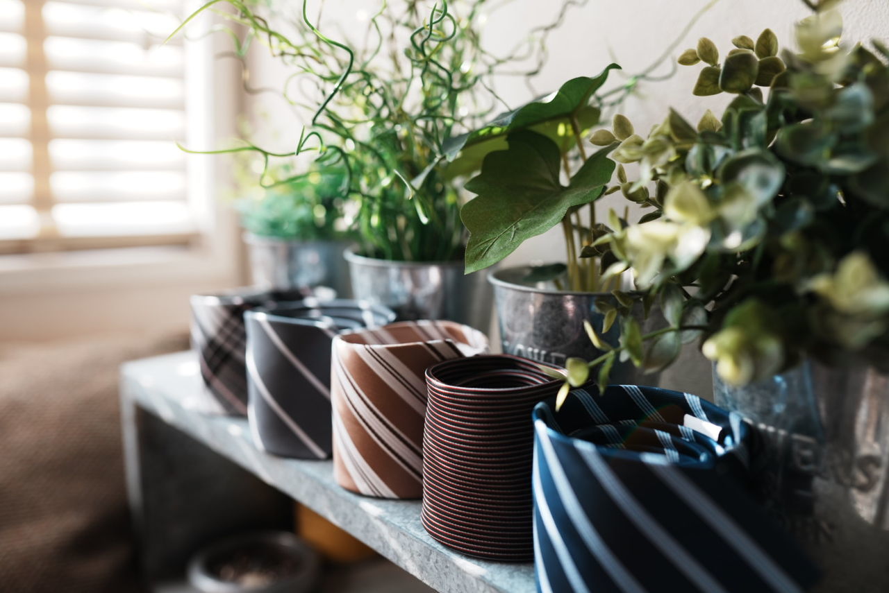 Plant Nature Indoors  No People Growth Window Potted Plant Selective Focus Day Flower Home Interior Plant Part Houseplant Leaf Domestic Life Domestic Room Vase Table Furniture Food And Drink