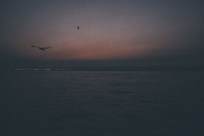 Birds flying over sea against sky