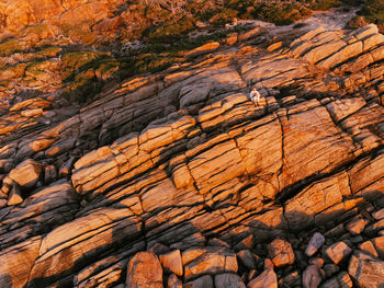 A beautiful golden hour shot from the sky. 