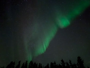 Low angle view of silhouette trees against sky at night