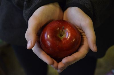 Close-up of hand holding apple