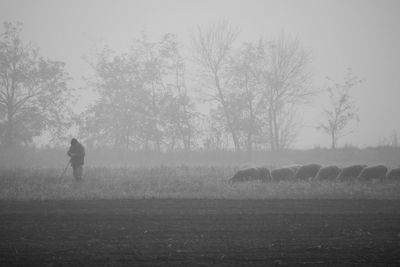 Man standing on field against sky