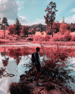 Man standing by tree in forest against sky