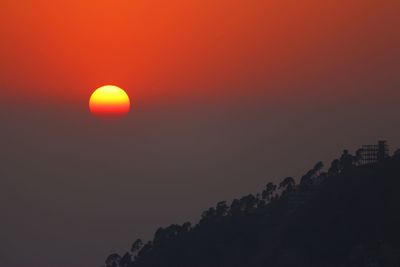 Silhouette trees against orange sky during sunset