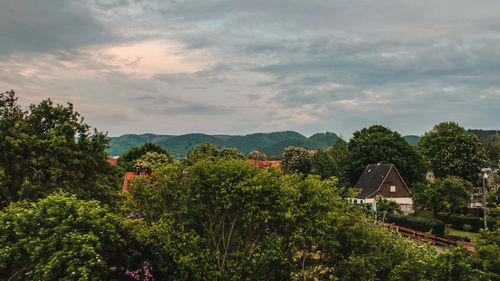 High angle view of plants and trees against sky