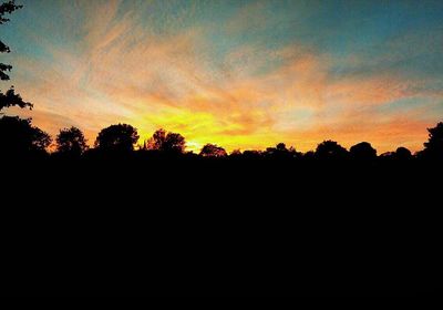 Silhouette trees against sky during sunset