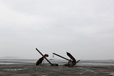 Cranes on beach against sky