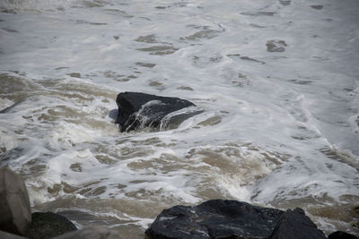 High angle view of surf on beach