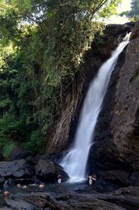 Waterfall in forest