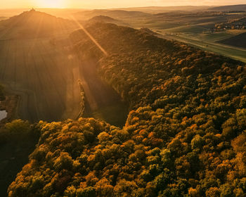 High angle view of trees on landscape against sky