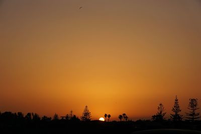 Silhouette trees against orange sky