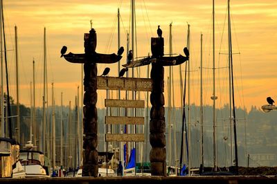 View of harbor at sunset