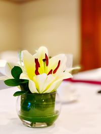 Close-up of white flower vase on table