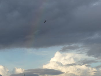 Low angle view of airplane flying in sky