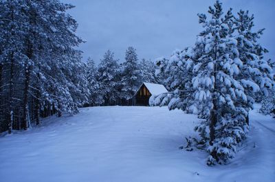 Snow covered trees on field against sky