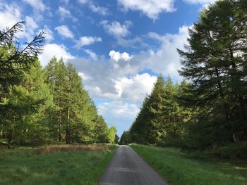 Road amidst trees against sky